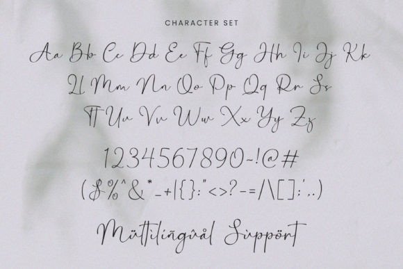 Bontana Font - Image 9