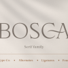 Bosca Font