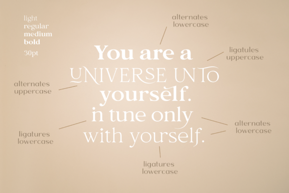 Bosca Font - Image 6