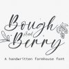 Bough and Berry Font