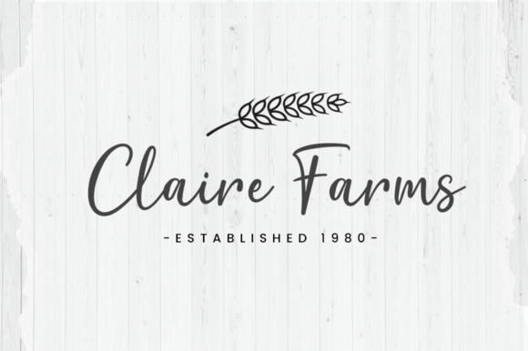 Bountiful Harvest Font - Image 3