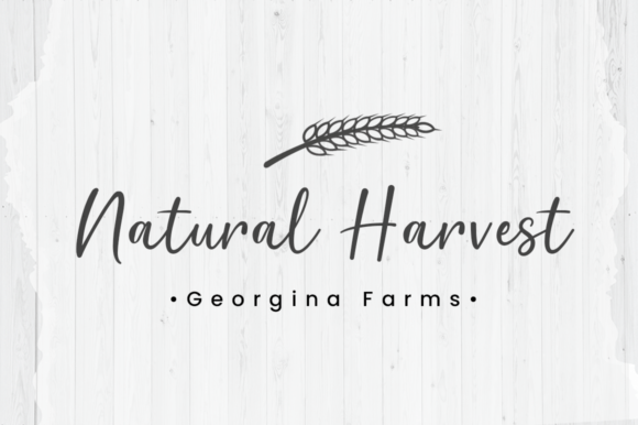 Bountiful Harvest Font - Image 6