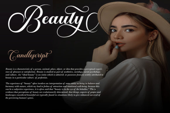 Brailganta Script Font - Image 2