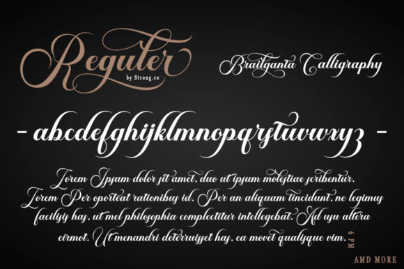 Brailganta Script Font - Image 3
