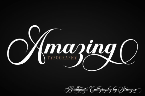 Brailganta Script Font - Image 4