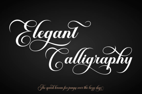 Brailganta Script Font - Image 6