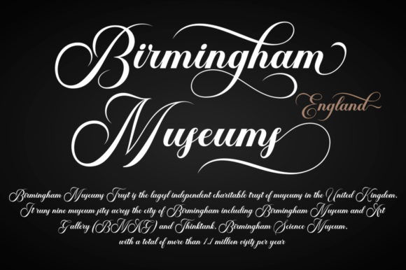 Brailganta Script Font - Image 8