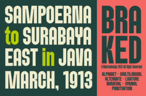 Alternative view of Braked Font