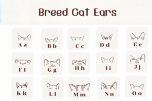 Alternative view of Breed Cat Ears Font