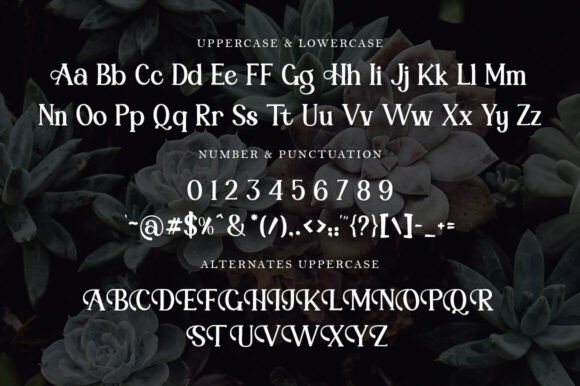 Bright Elegance Font - Image 9