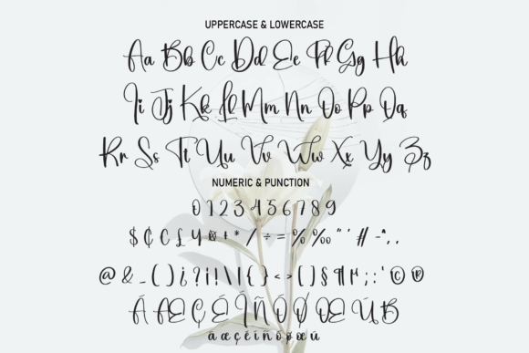 Brilliant Font - Image 7