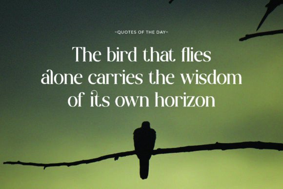 Brogade Font - Image 3