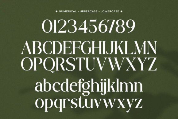 Brogade Font - Image 7