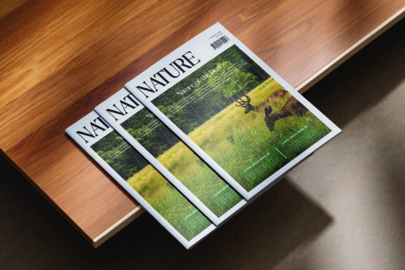 Brogade Font - Image 9