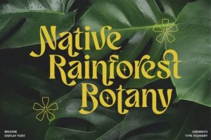 Alternative view of Broone Font