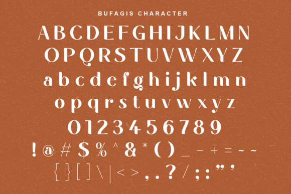 Bufagis Font - Image 8