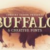 Buffalo Font