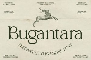 Bugantara Font