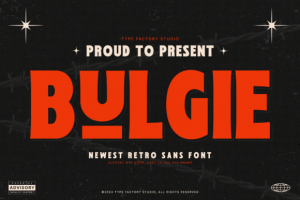 Bulgie Font