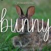 Bunny Font