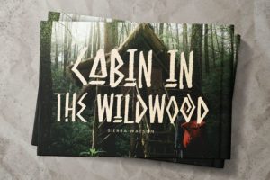 Alternative view of Burowai Font