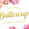 Buttercup Font