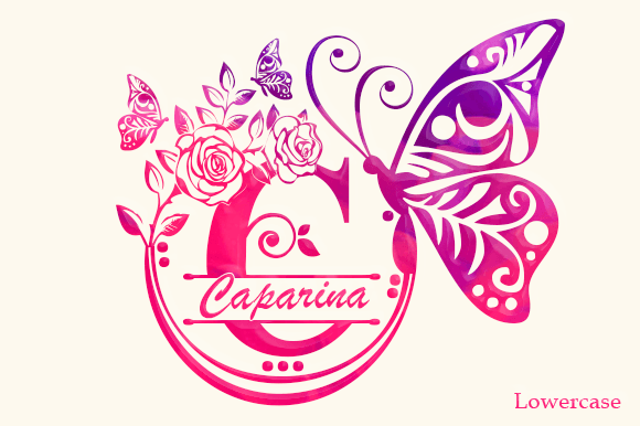 Butterfly and Roses Font - Image 3