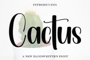 Cactus Font