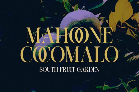 Calera Font - Image 4