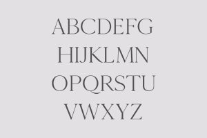 Alternative view of Cammron Font