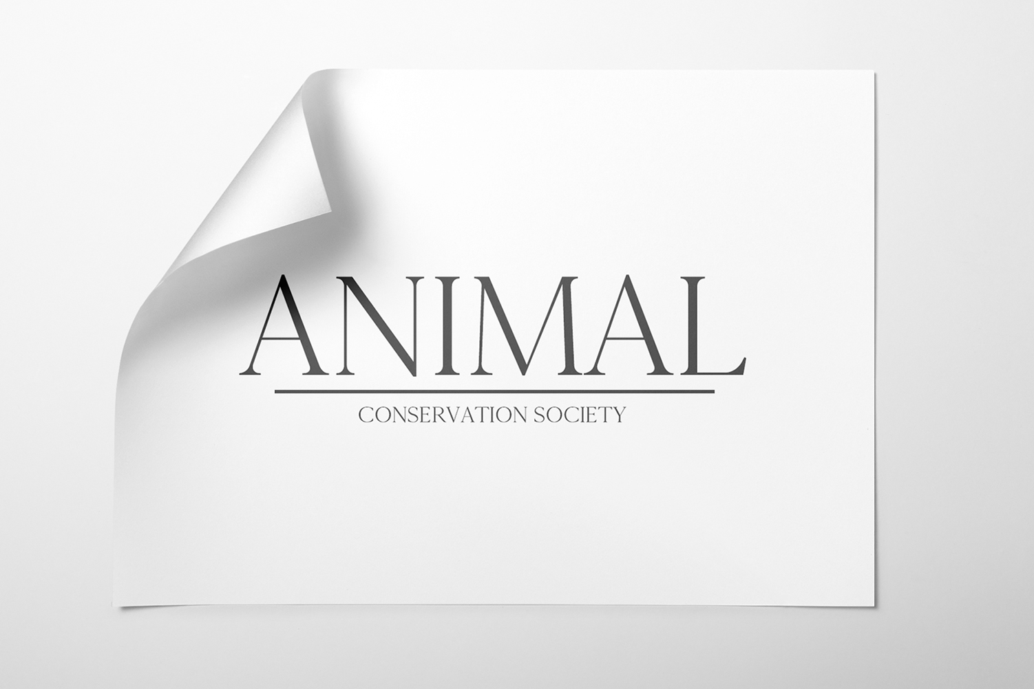 Cammron Font - Image 8