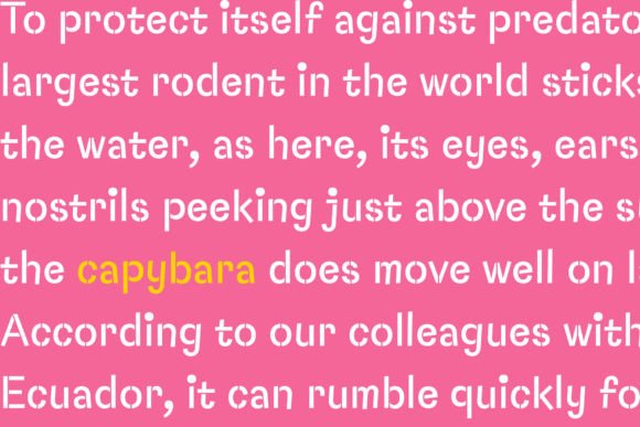 Capybara Stencil Font - Image 5