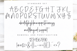 Alternative view of Careful Font