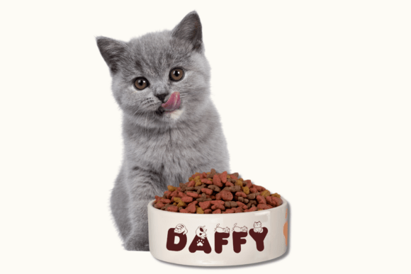 Cat Purr Font - Image 3