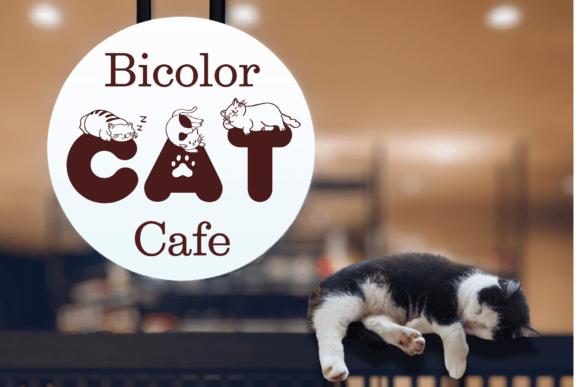 Cat Purr Font - Image 8