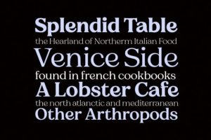 Alternative view of Charman Serif Font