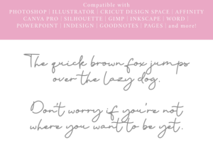 Alternative view of Chiharu Font