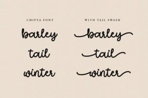 Alternative view of Chipta Font