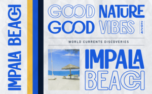 Alternative view of Chiroto Font