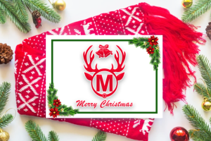 Alternative view of Christmas Reindeer Font