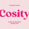 Cosity Font