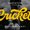 Cricket Font