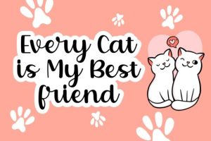 Alternative view of Cute Katty Font