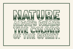 Alternative view of Dark Forest Font