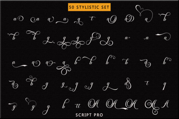 Dayton Script Font - Image 6