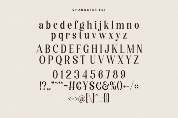 Destiny Gorgeous Font - Image 9