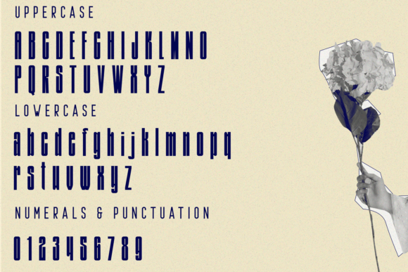 Differin Font - Image 6