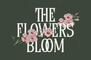 Alternative view of Diomeca Font