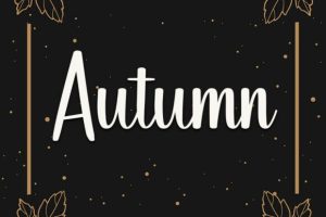 Alternative view of Disney Font