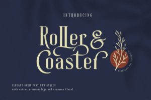 Alternative view of Roller Coaster Font